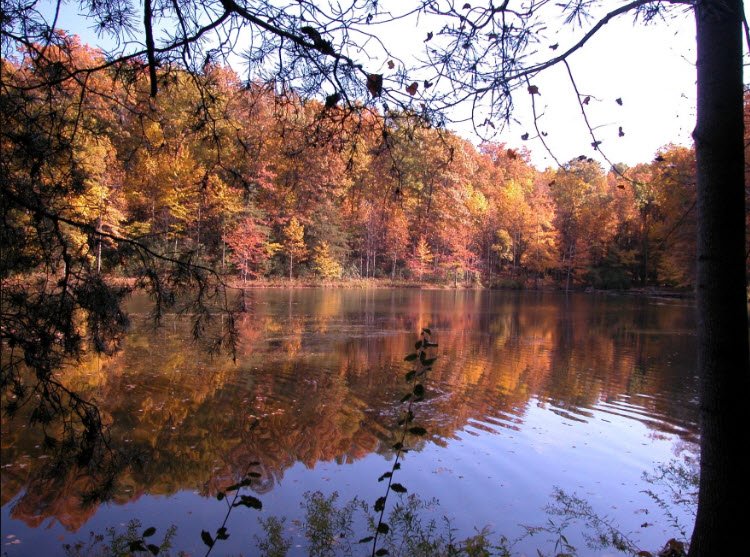 Seneca Creek State Park, Maryland, USA